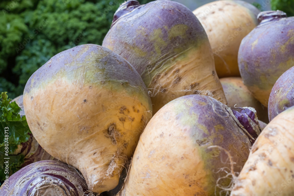 1000_F_680748713_b6HObBJMThGOSyEiV2T9h0OZr8xAk48s