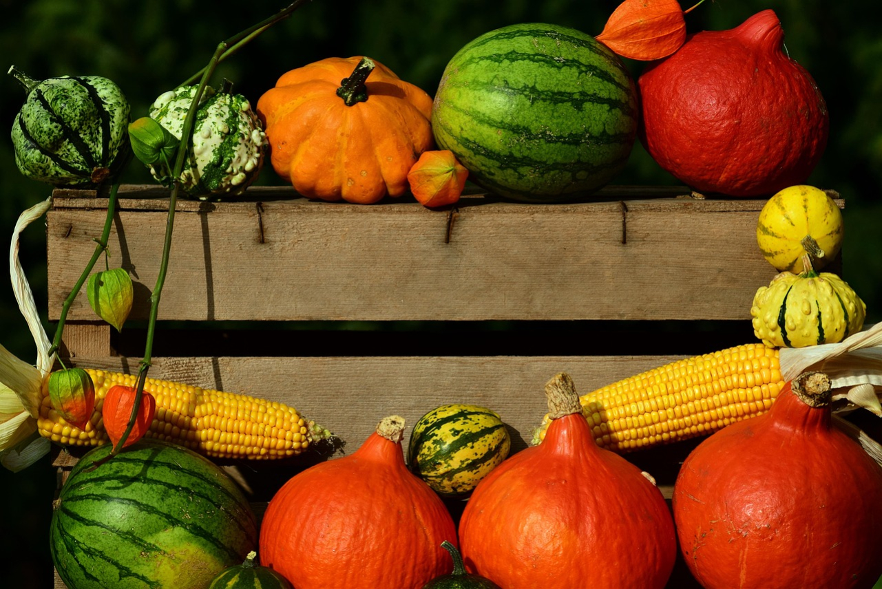 pumpkin-2691444_1280